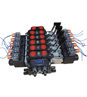 Vanne solénoïde hydraulique à commande directionnelle à 5 bobines 12v à distance, vanne hydraulique sectionnelle à commande à distance pour grue avec télécommande électrique