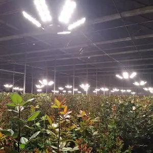 Sansi Ip65 Waterdicht Vol Spectrum Zonlicht Lamp Verstelbare Hoek Keramische Warmteafvoer Led Plant Verlichting Voor Plantengroei