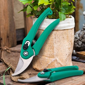 Jolies cisailles de jardinage en acier inoxydable, forme de bec de 45 mm, pour le jardinage et les arbres fruitiers - Product Image 1