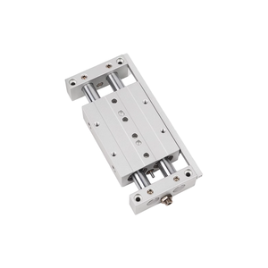 STW-Serie <span class=keywords><strong>STWB</strong></span>/STWA Doppelstangen-Doppelachsen-Schiebetischzylinder STWB10/16/20/2532 mit Öldruckpuffer - Product Image 5