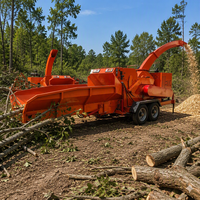 Broyeur à tambour robuste pour bambou, tiges de maïs et branches, machine de production de biocarburant