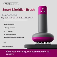 Brosse électrique pour méridiens, appareil de massage micro-courant Gua Sha avec chauffage et vibration pour le massage corporel