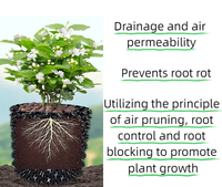Pots de pépinière écologiques légers et durables pour la croissance rapide des racines, la taille aérienne, les arbres de jardin, les bonsaïs, les repiquages et les fleurs