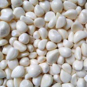 Pelador de Ajo Comercial Nuevo, Pelador de Ajo para Mayoristas - Product Image 2