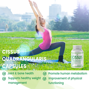 HACCP OEM ODM Cissus y Vitaminas 90 Cápsulas Veganas Fórmula de Máxima Potencia Suplemento Dietético para el Soporte de Huesos y Articulaciones - Product Image 4