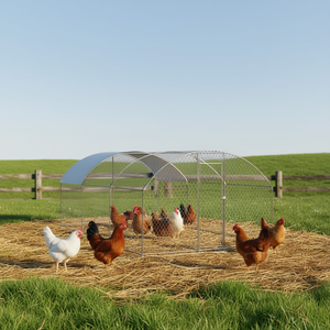 Cage à poules en acier DB, clôture en acier, abri en forme de dôme imperméable, enclos pour poules, utilisation en extérieur - Product Image 2