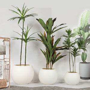 Offre Spéciale : Pot de Fleurs en PP Grande Taille à Prix Abordable avec Design Minimaliste Moderne pour Décoration de Plantes Artificielles – Service Tout-en-un - Product Image 3