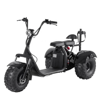 Entrepôt US/EU Scooter électrique à grandes roues City Coco Contrôleur pour adulte 2000W Moteur sans balais golf Citycoco scooter à trois roues