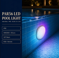 Projecteur de piscine PAR56, corps en verre, IP68, AC/DC 12V 24V, dimmable, pour piscine de complexe hôtelier, décoration aquatique, aquaparc, terrasse sur le toit