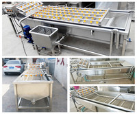 Industriële Datum Palm Fruit Wasmachine Groente Wassen Apparatuur