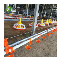 Mangeoires automatiques pour poulets Système d'alimentation pour volailles Mangeoire à oiseaux pratique pour animaux