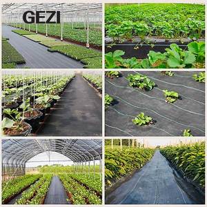 <span class=keywords><strong>Malla</strong></span> de Control de Malezas GEZI 100% Virgen, Permeable, Biodegradable, de PP/PE Tejido, con Protección UV, Estabilizada, <span class=keywords><strong>para</strong></span> Cubrir el Suelo, 70g-110g - Product Image 3