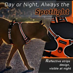 Produsen tali dan kekang anjing desainer Inggris baru tali kekang pribadi untuk anjing - Product Image 4