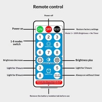 Guirlande lumineuse LED solaire effet pluie de météores, télécommandée, à intensité variable, accessoires décoratifs abstraits, avec piquet de sol en plastique