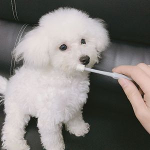 Cepillo de dientes para perros y gatos, limpieza bucal de 360 grados, mejora el mal aliento, elimina el sarro, pasta de dientes - Product Image 4