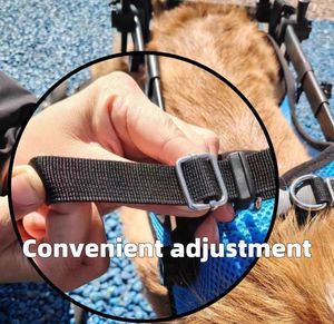 <span class=keywords><strong>Silla</strong></span> <span class=keywords><strong>de</strong></span> <span class=keywords><strong>ruedas</strong></span> <span class=keywords><strong>para</strong></span> <span class=keywords><strong>perros</strong></span>, <span class=keywords><strong>silla</strong></span> <span class=keywords><strong>de</strong></span> <span class=keywords><strong>ruedas</strong></span> ajustable <span class=keywords><strong>para</strong></span> <span class=keywords><strong>perros</strong></span> pequeños <span class=keywords><strong>para</strong></span> patas traseras - Product Image 4