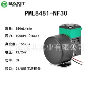 Baxit Diaphragm <b>Pump</b> Pml8481-Nf30 12V 24V Mini <b>Vacuum</b> <b>Pump</b> For Flue Gas Sampling - Product Image 4