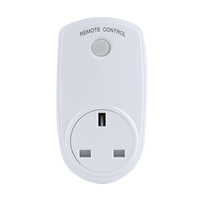 Prise de télécommande Prise de courant UK Plug In Prise de courant Smart Home Prise de contrôle RF