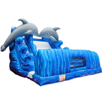 Toboggan gonflable à thème océanique Dolphin, équipement de jeu gonflable commercial pour enfants en plein air