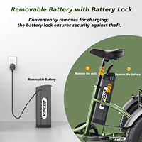 Triciclo de Carga de 3 Ruedas con Llantas Gruesas VIPCOO ET1 con Freno de Disco Triciclos de Aleación de Aluminio y Bolsa Trasera
