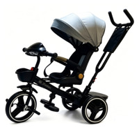 Tricycle de luxe 4-en-1 pour enfants avec guidon pliable, musique Bluetooth, lumière et roues anti-explosion USB – Vélo premium pour tout-petits