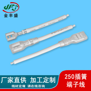 Sterilizer Wiring 6.3mm Transparent Sheathed Wire 250mm Spring Loaded Terminal Wire Fire Retardant Connection Cable - Product Image 4