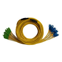 Câble de dérivation multifibre à tampon serré intérieur personnalisé à 24 fibres OS2 monomode LC/SC/FC/ST/LSH