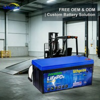 Batería de ciclo profundo LiFePO4 para montacargas, 24V 300Ah, para centro de distribución, resistente a golpes, CE FCC RoHS, OEM ODM, de fábrica