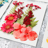 Fleurs séchées pressées à la main - Décoration écologique en fleurs naturelles pour la fête des mères, les mariages, la Saint-Valentin et Noël