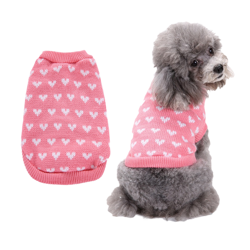 Cute Medium Cats and Dogs Winter
