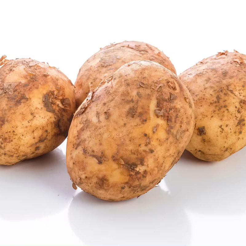 Chinese Supplier Fresh New Crop Vegetables
