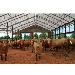 Tente de stockage industrielle en acier galvanisé, imperméable et résistante au vent, pour entrepôt/atelier/chantier/agriculture, tailles personnalisées - Product Image 5