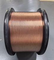 Filo d'Acciaio Intrecciato Rivestito in Rame 7*0,16 mm, 40% IACS, Filo CCS per Cablaggi Automobilistici