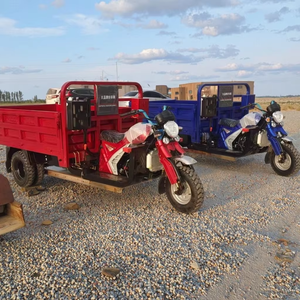 Modèle 2026 le plus vendu – Tricycle motorisé 200 CC à essence, transporteur agricole robuste, camion benne de chantier - Product Image 6