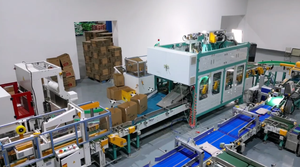 خط إنتاج تغليف آلي بالكامل من الجانبين من Ewinall للأرز والحبوب والبذور - حل تغليف متكامل - Product Image 6