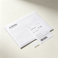 Enveloppes en papier kraft blanc personnalisées en gros avec logo pour l'emballage des vêtements