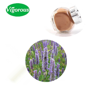 <span class=keywords><strong>Agastache</strong></span> En stock Muestras gratis Extracto de <span class=keywords><strong>Agastache</strong></span> beneficioso para la salud - Product Image 1