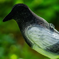 Leurre de pie de chasse de tir floqué avec pieu
