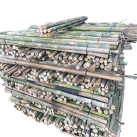 Poteaux de Soutien Écologiques en Mini Bambou pour Tomates et Plantes de Piments Longueur Personnalisable Fabricant Vietnamien