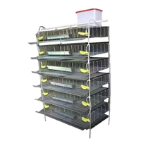 Conception d'élevage avicole pour cages d'élevage de poussins de chair d'un jour