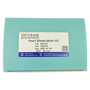 Herz dissoziation skit (10 <span class=keywords><strong>TEST</strong></span>) Dissoziation des Gewebes für die Forschung ISO 9001 BA3327 - Product Image 6