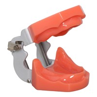 Modelo de Práctica de Implantes Dentales de Resina y PVC, Entrenamiento de Comunicación Médico-Paciente para Ciencias Médicas