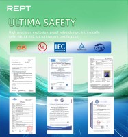 REPT 280AH 100AH 50AH 72AH 150AH 314AH 320AH 345AH 3.2V cellule de batterie solaire Lifepo4 rechargeable au lithium-ion prismatique