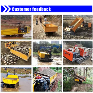 Mini-Dumper mit Briggs & Stratton Hydraulischer Kippvorrichtung Mini-Baustellentransporter Raupentransporter Nennlast - Product Image 5