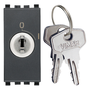 Vimar Push <b>Button</b> Switch 16A Grey With Key For Electrical Control - Product Image 1