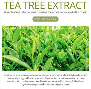 Suero Orgánico Antiacné con 20% de Vitamina C, 3.5% de Niacinamida, 2.5% de Ácido Hialurónico al 5%, 3.5% de Ácido Salicílico y Árbol de Té <span class=keywords><strong>para</strong></span> el Cuidado de la Piel - Product Image 4
