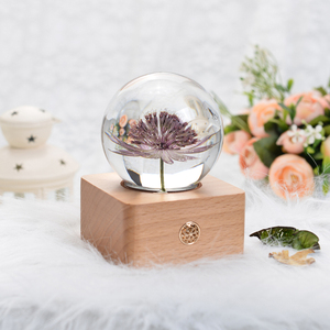 Lovebay nuova tendenza sfera <span class=keywords><strong>di</strong></span> cristallo pianta vera resina <span class=keywords><strong>di</strong></span> fiori immortali ornamento decorativo luce notturna per regalo <span class=keywords><strong>di</strong></span> fiori conservati - Product Image 2