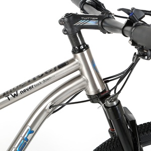 Bicicleta de Montaña <span class=keywords><strong>MTB</strong></span> 29er 2026, Nueva, de Aleación de Titanio, 12 Velocidades, Horquilla de Aleación de Magnesio - Product Image 3