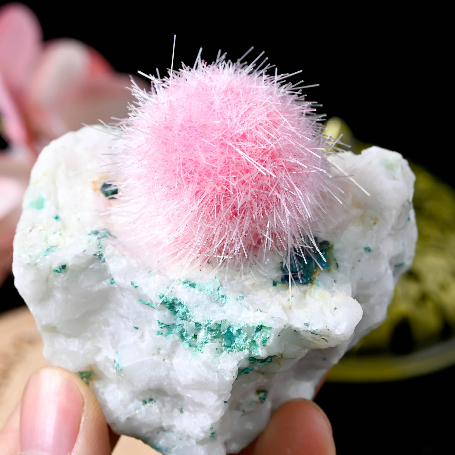 ตามที่แสดง