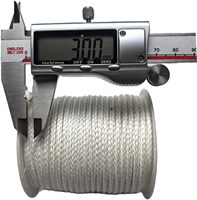 Corde en Dyneema blanche 3 mm x 328 pi, tressée 12 brins, haute résistance 700 kg UHMWPE pour tente, kitesurf, extérieur Yongxiang PC20260627